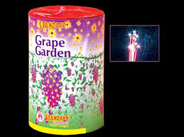 GRAPE  TIN